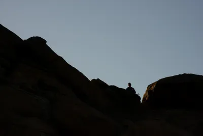 DSC_5537 (Large).JPG